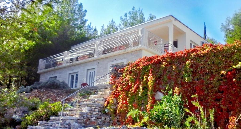 Hvar Melody, Island Hvar, Rosohotnica Bay photo 1