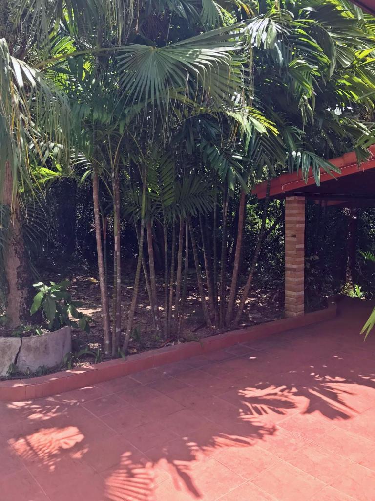 Tropical Hillside Villa photo 1