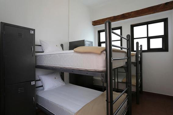 Номер (Кровать в общем 4-местном номере для мужчин и женщин), Mexico City Hostel