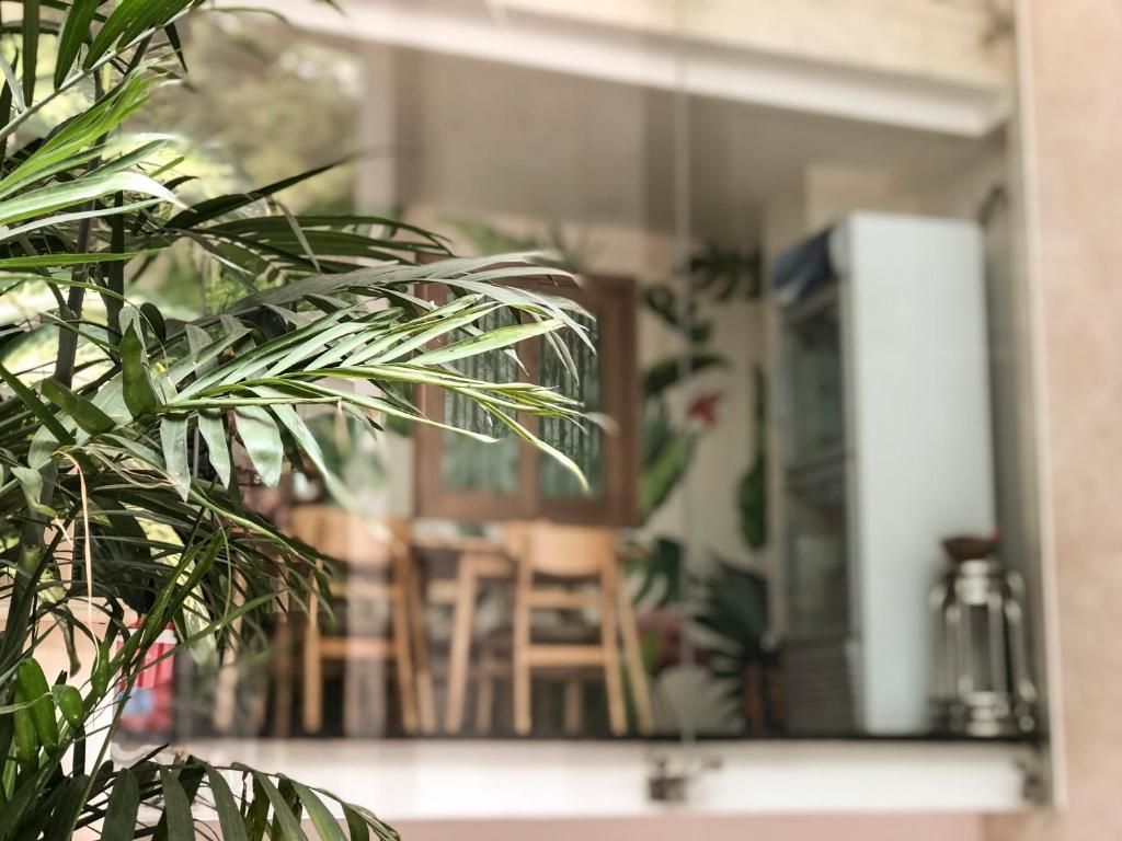 Tropical House