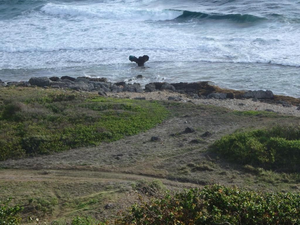 La Marine photo 2