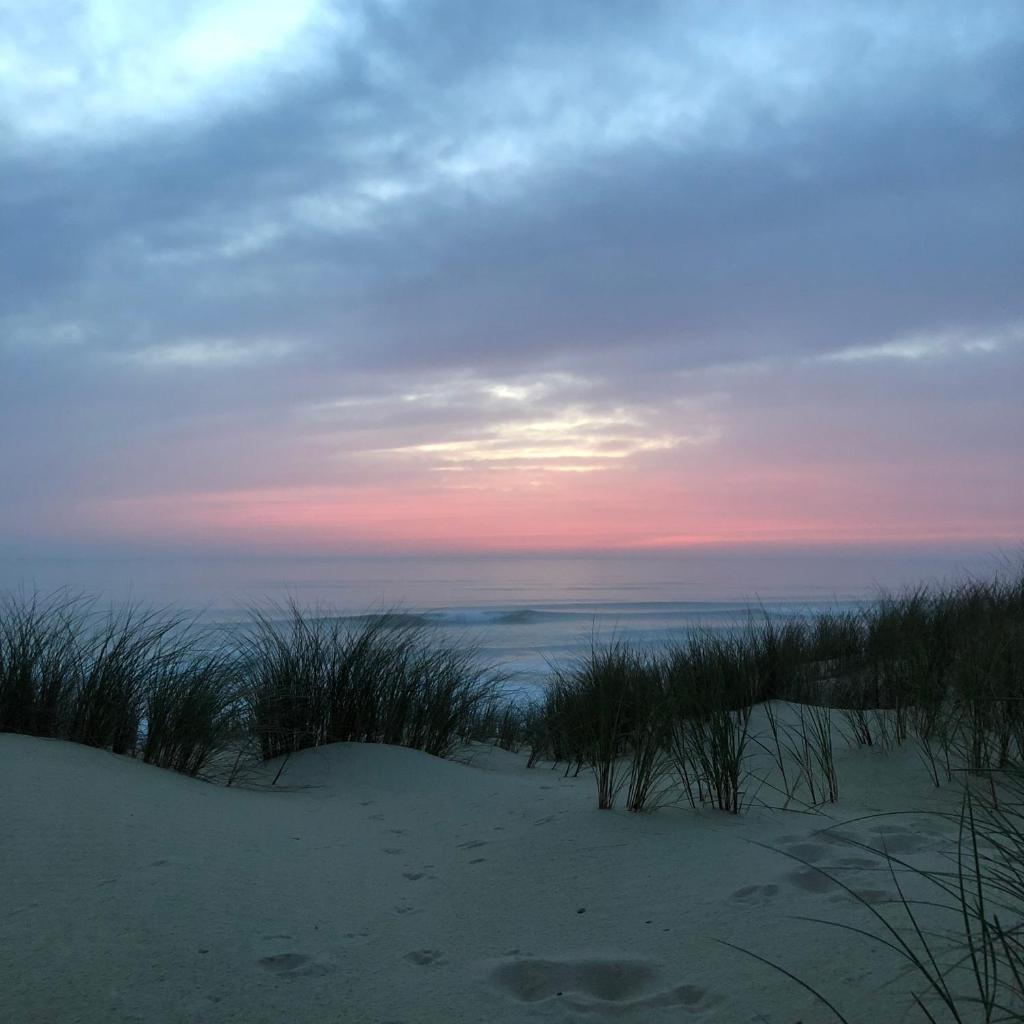 Le Pavillon Bleu - 트윈룸 - 정원 전망