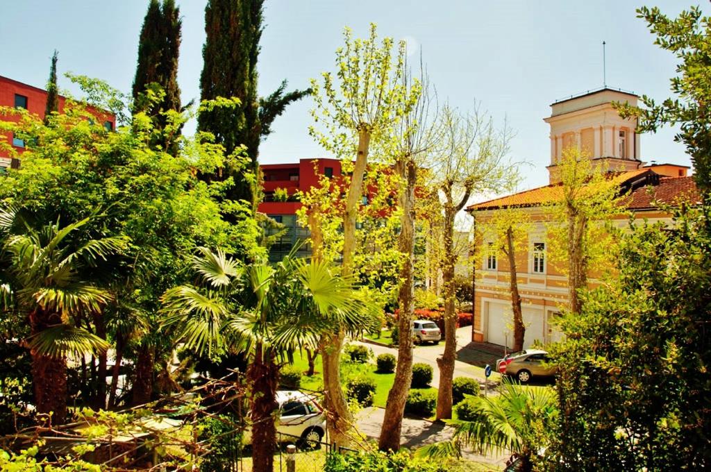 Apartment Colors of Life photo 1