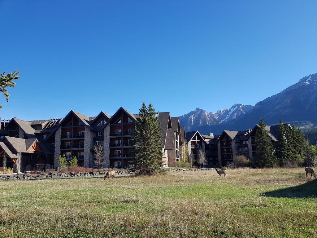 Paradise Resort Club and Spa photo 1