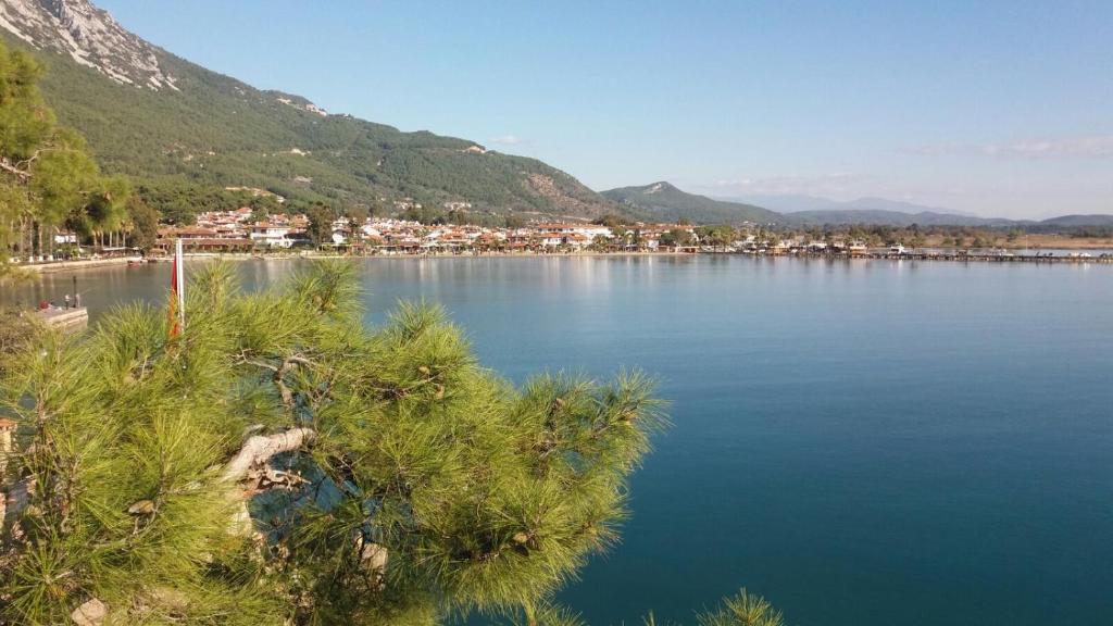 Seaside Suites Akyaka photo 3