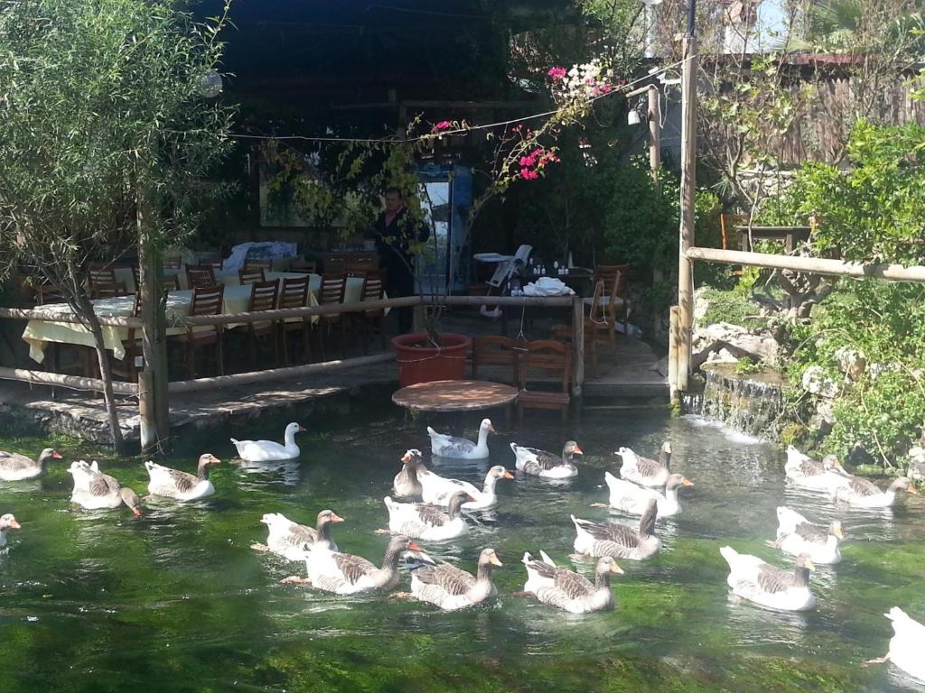 Seaside Suites Akyaka photo 2
