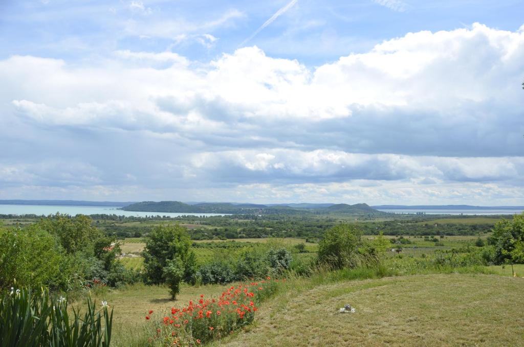 villa vita photo 1