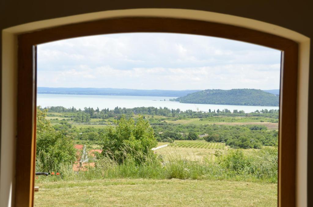 villa vita photo 2