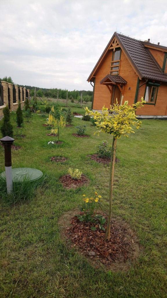 Lavender Cottage photo 3