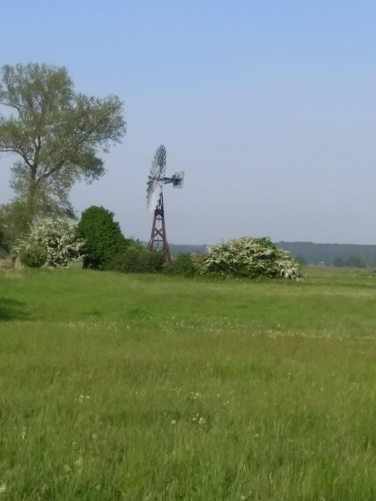 Ferienhaus Segebrecht photo 2