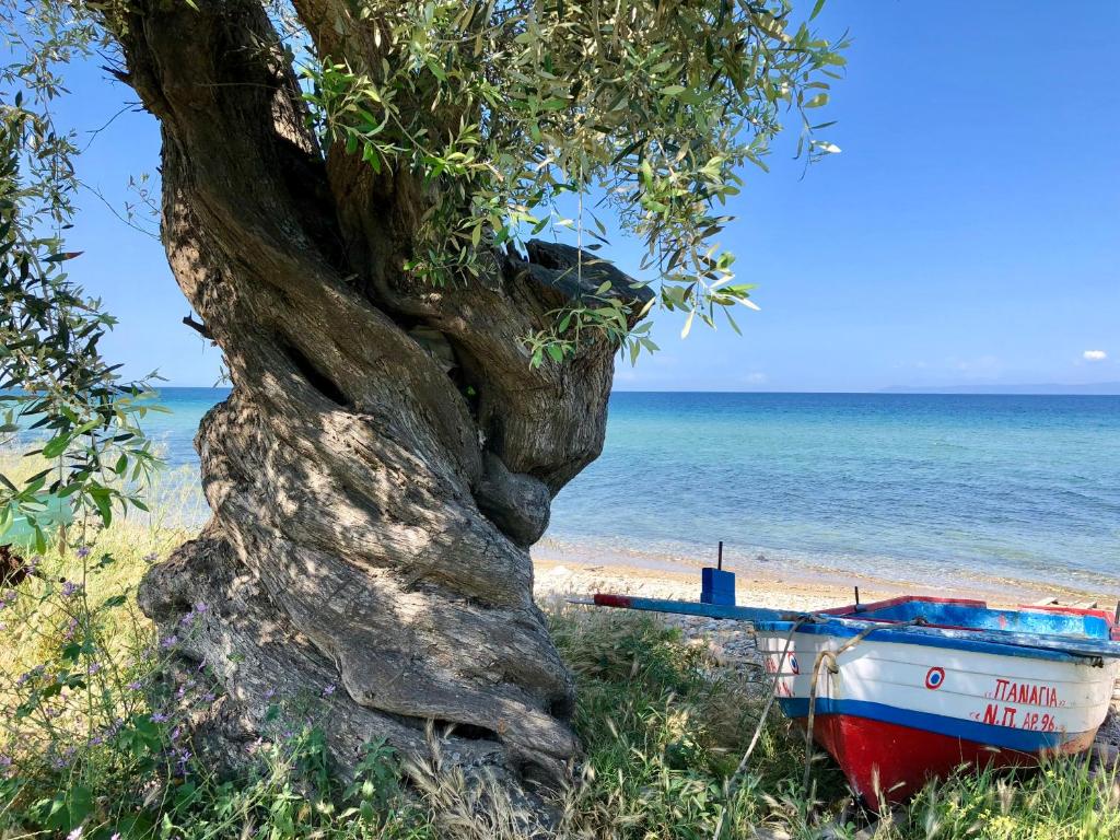Byblos Luxury Villa photo 2
