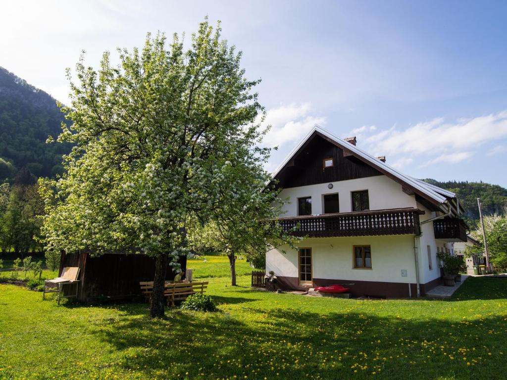 Pr' Kovač apartments