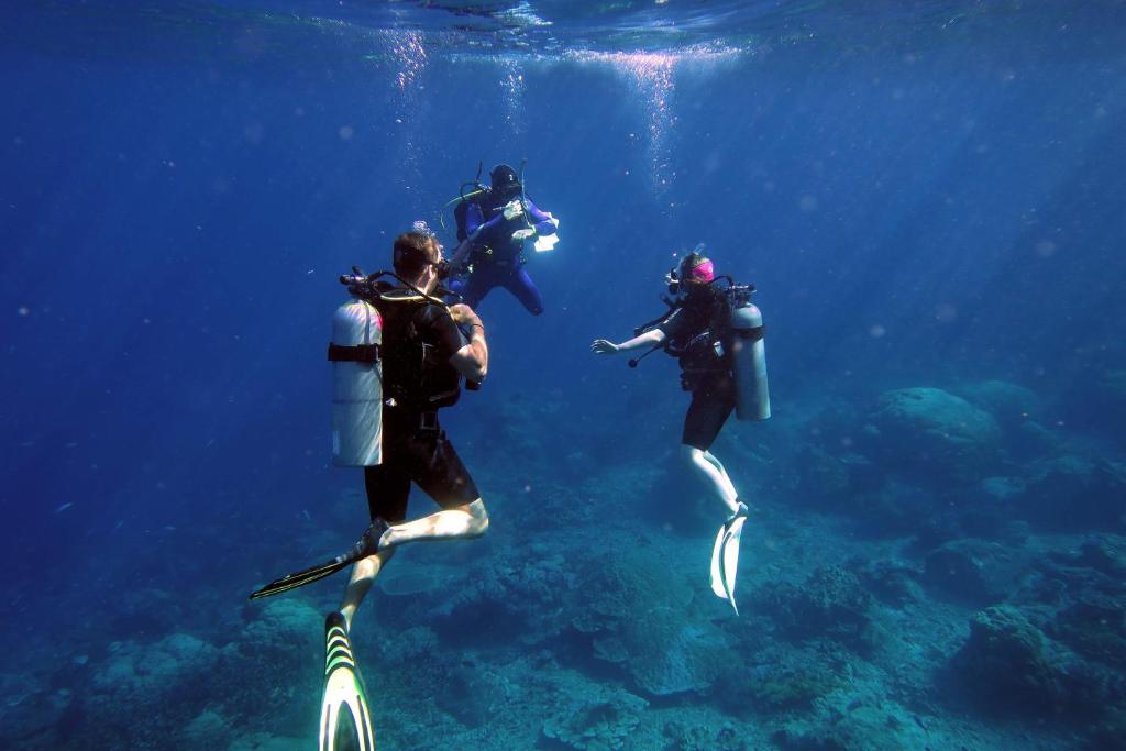 Quiver Dive Team Perhentian Dorm photo 3