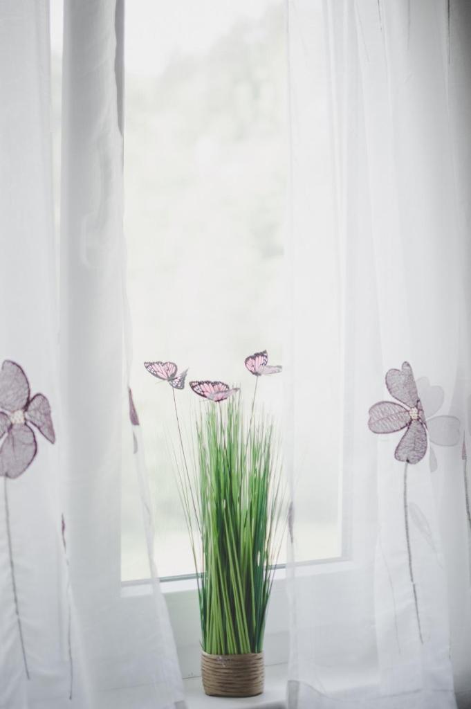 Apartma Trebušca photo 3