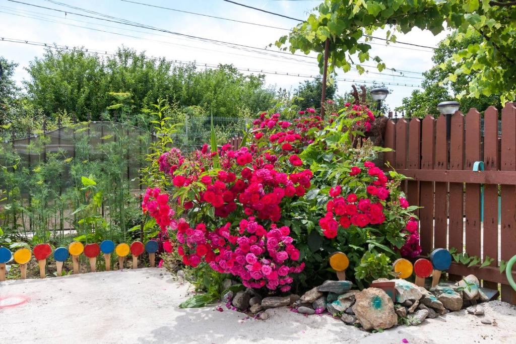 Casa Dora photo 4
