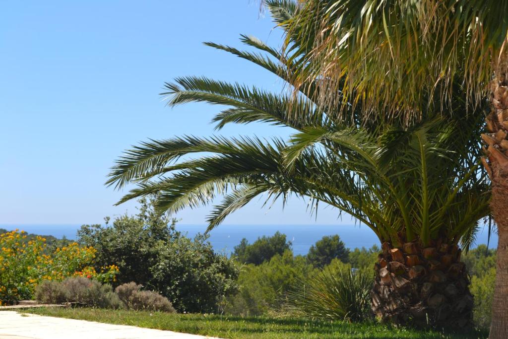 Gîte Vue Mer photo 3