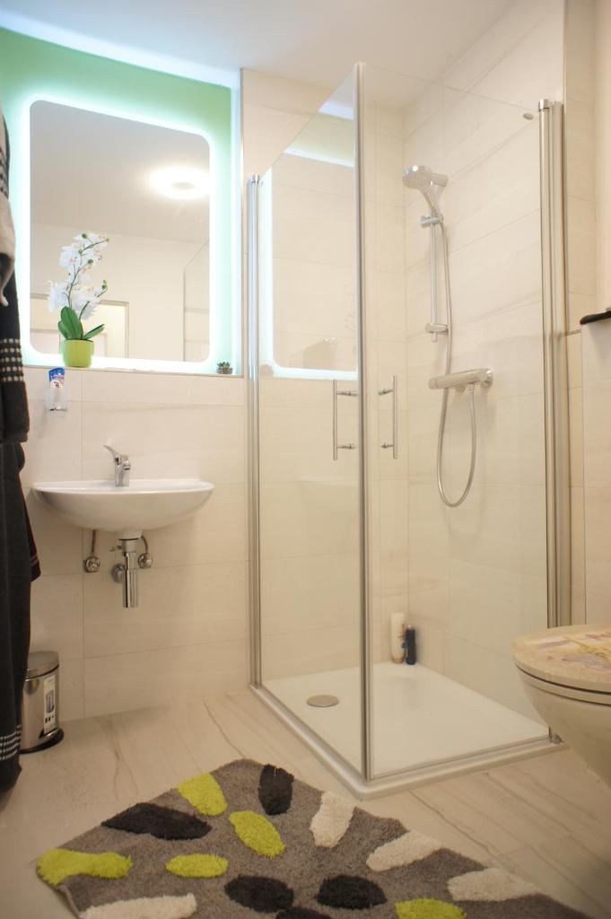 Ferienwohnung Lörrach photo 1