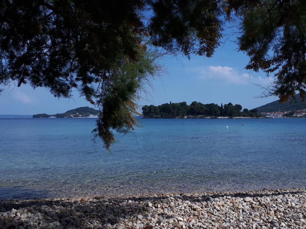 Apartments Villa Stina photo 3