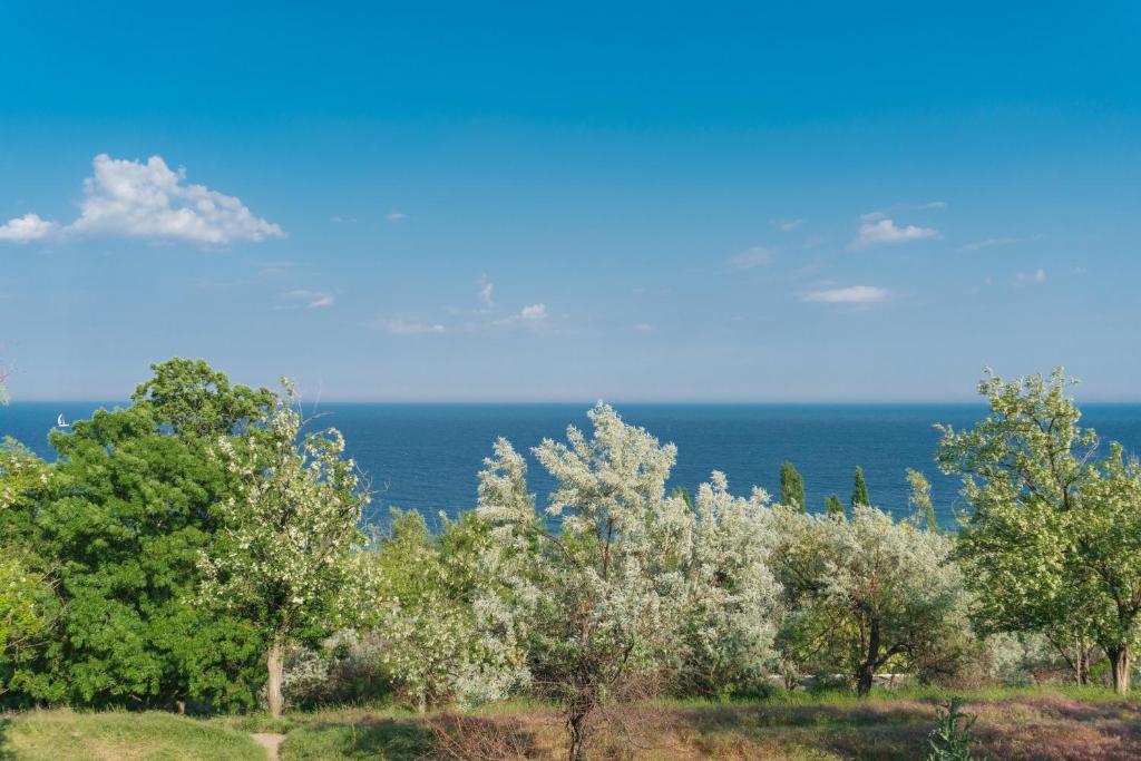Authentic Odessa Dacha photo 2