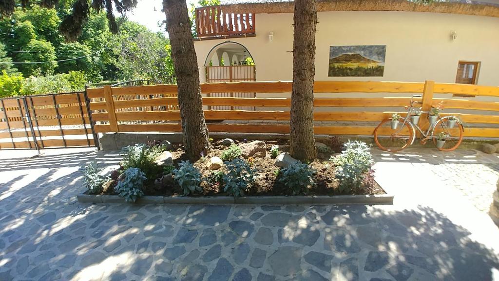 Liliana Apartman és Csónakház photo 2