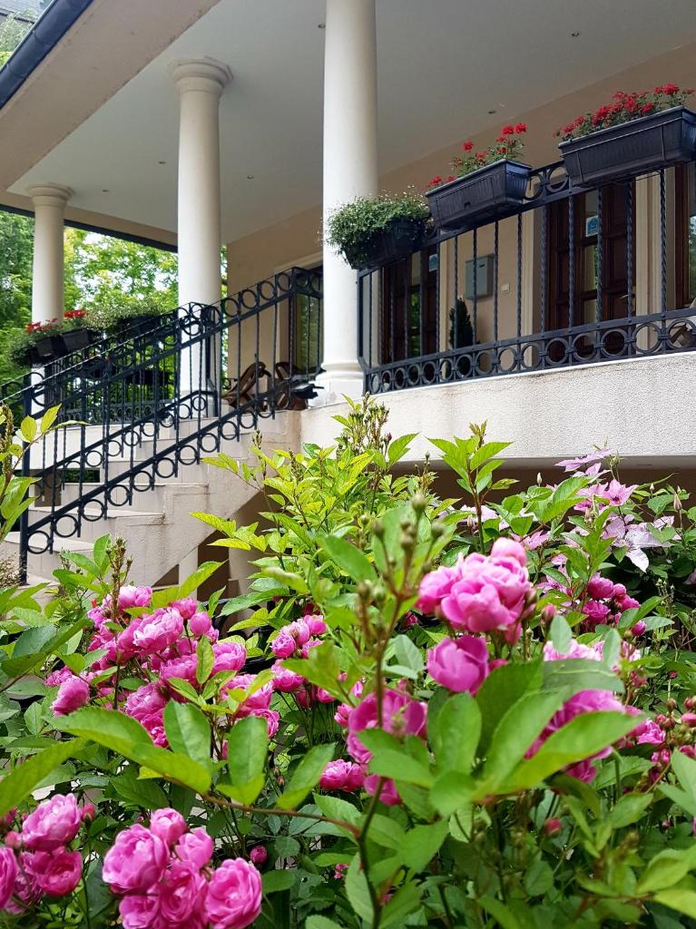 ŽUPAN apartmani