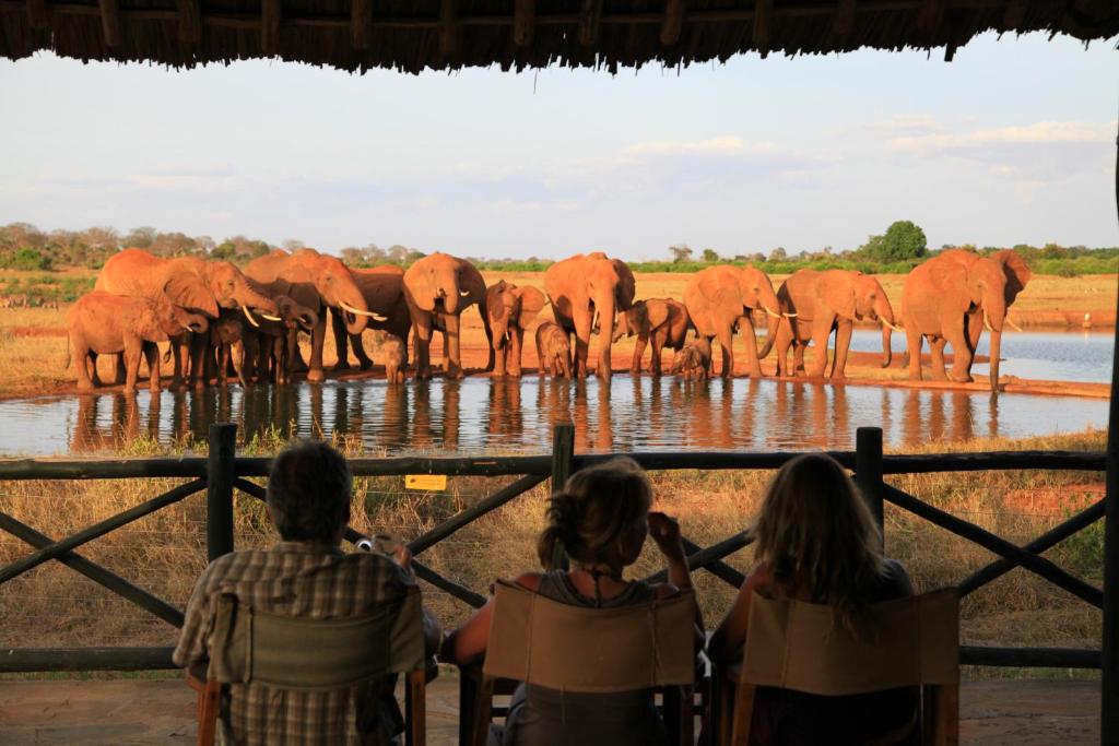 Voi Wildlife Lodge photo 1