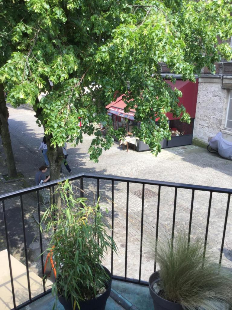 Appartement cosy dans le centre de Honfleur photo 2