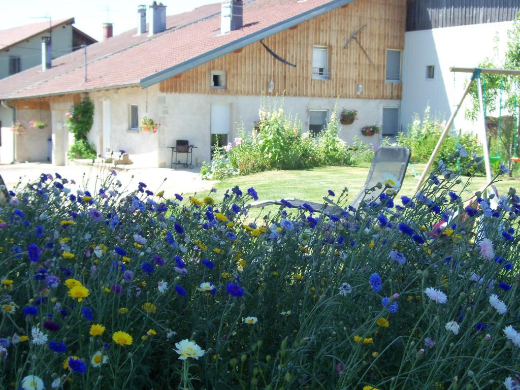 Gîte de la sauge photo 1