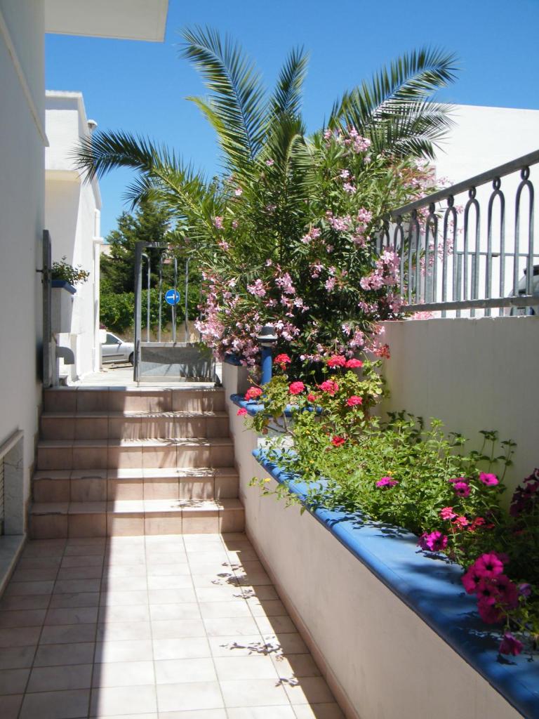 Casa Baia Rosa photo 4