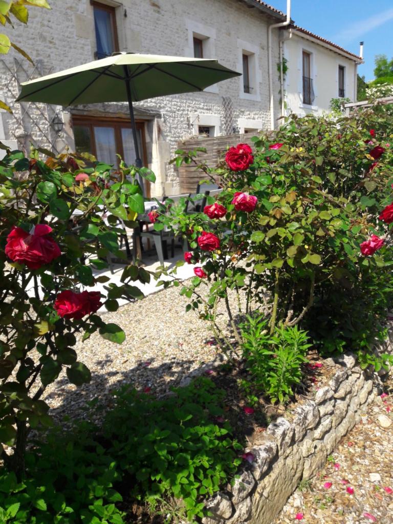 Les Gîtes du Breuillat photo 2