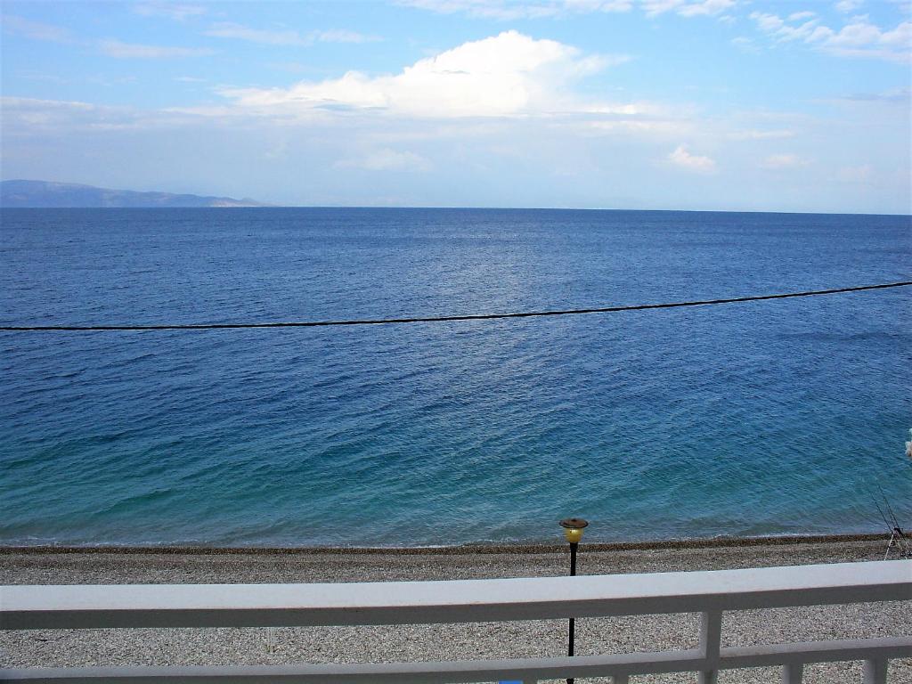 Mondo Cosseri Akrata photo 3