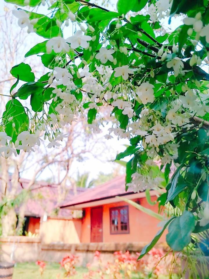 Saimoonbury Resort