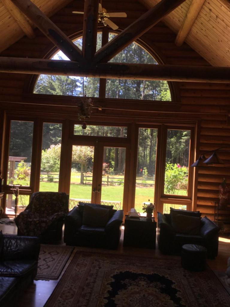 Redwood forest image
