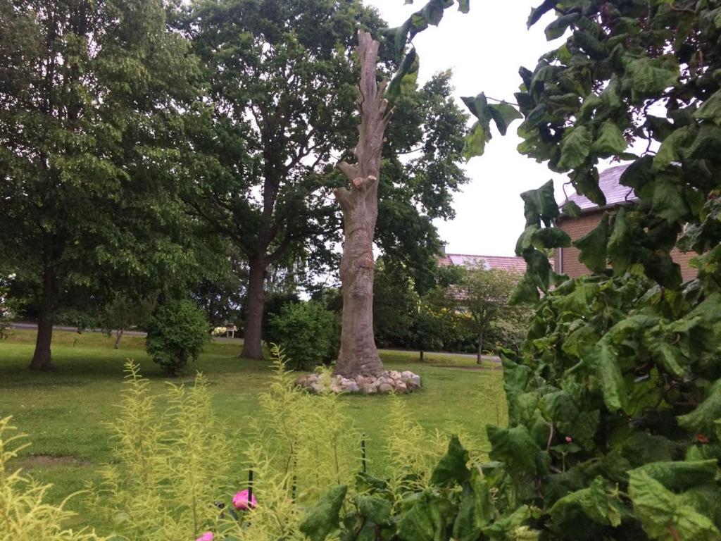 Fewo an der Mühle photo 3
