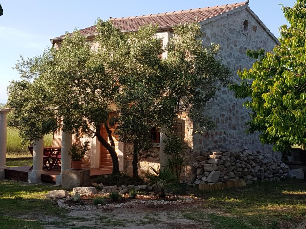 Villa Flaveico photo 4