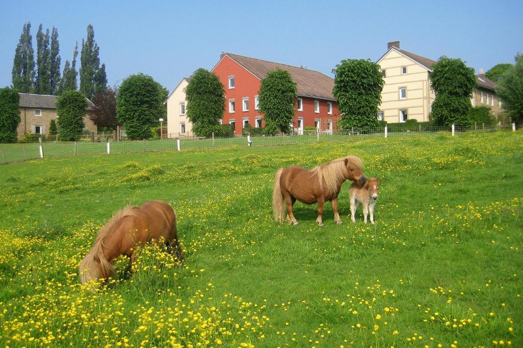 Bungalowpark Landsrade photo 2