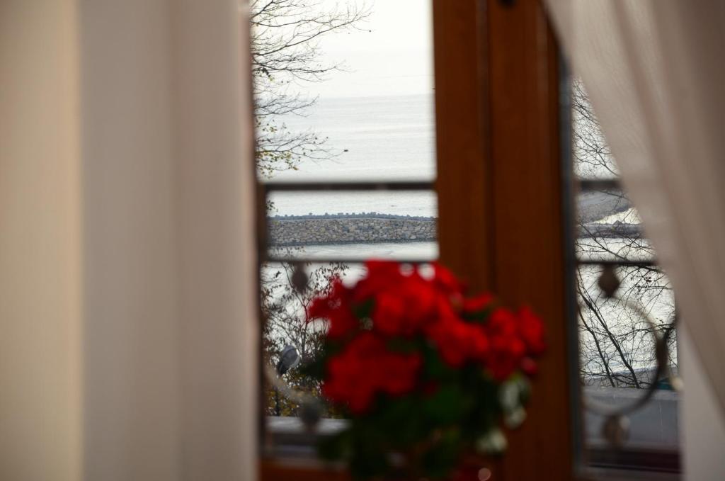 Сьюит (Люкс «Премиум»), Hotel Cherica