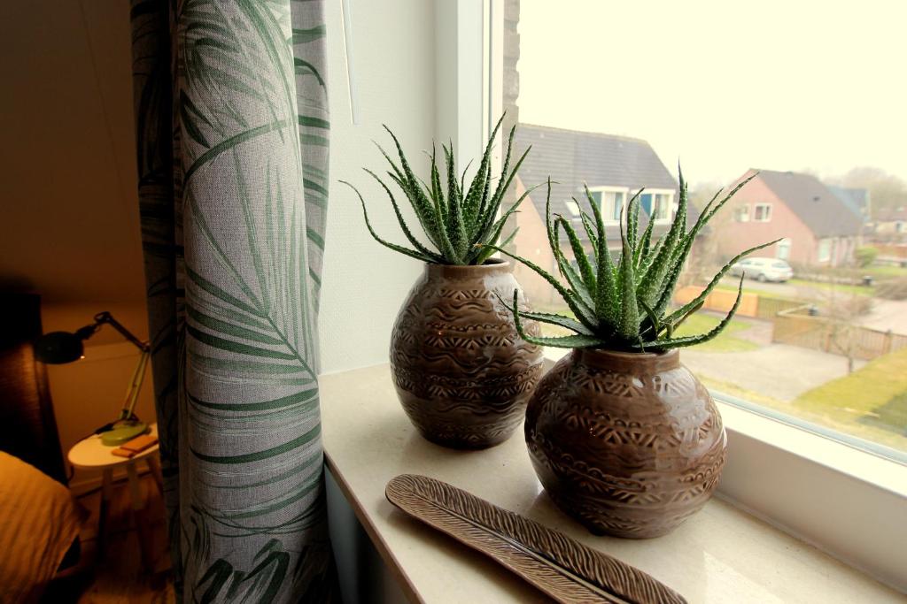 B & B Janneke Elsloo Friesland photo 3