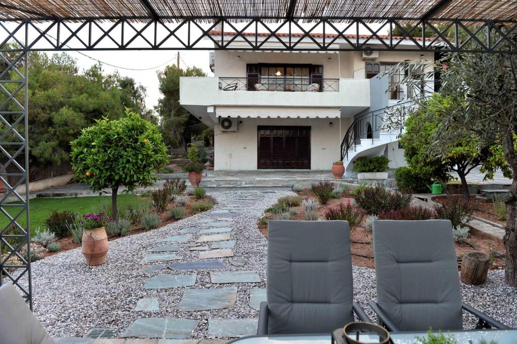 The House of Art photo 3