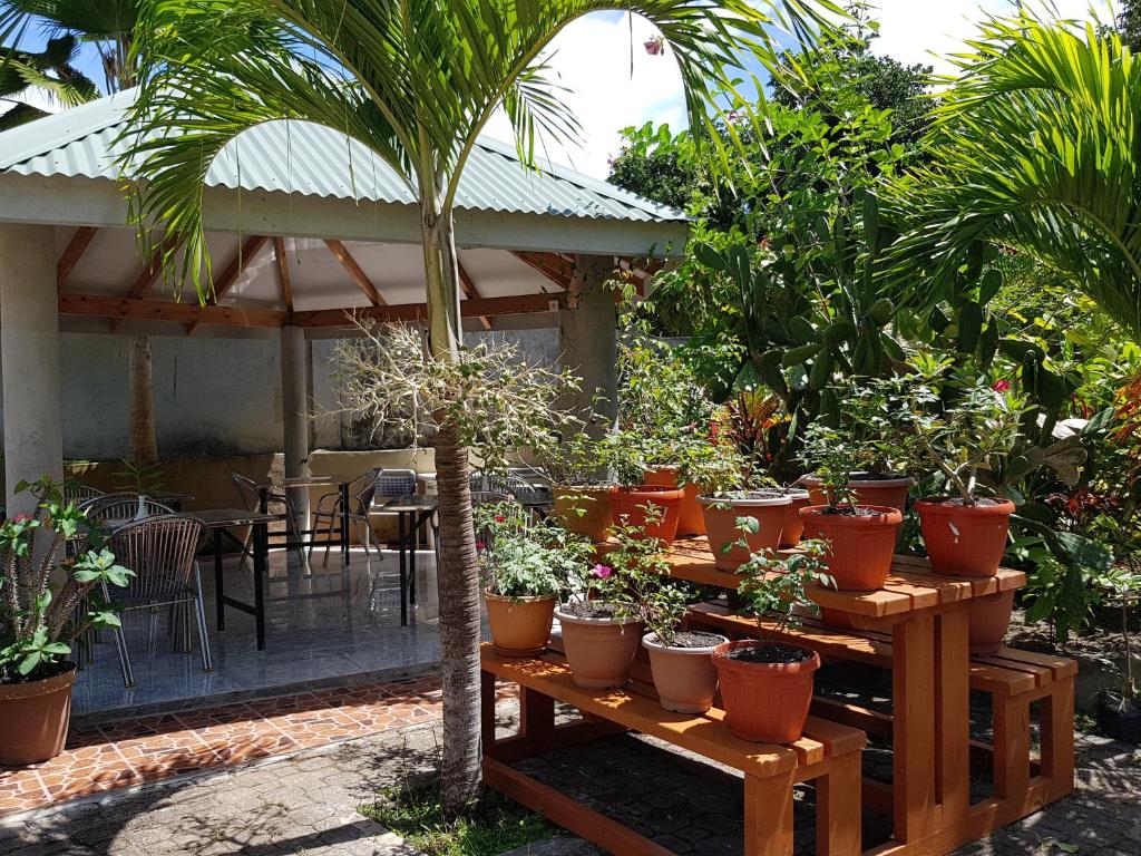 Island Bungalow photo 4
