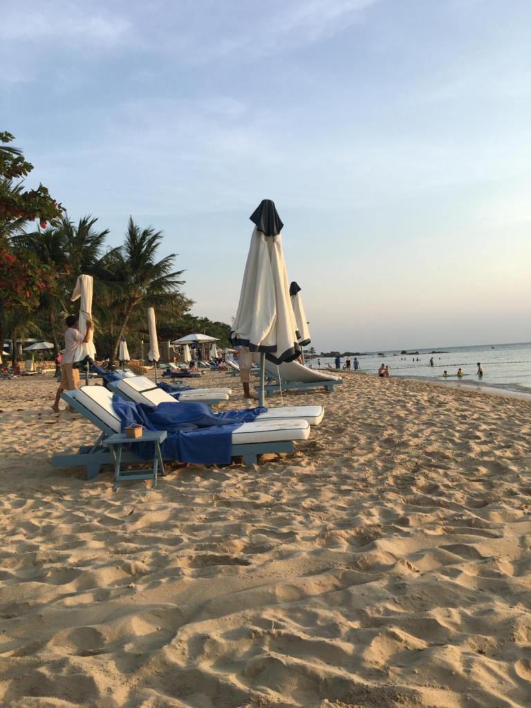 The Palm Tree Guesthouse