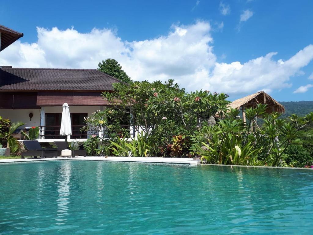 Lovina Paradise photo 4
