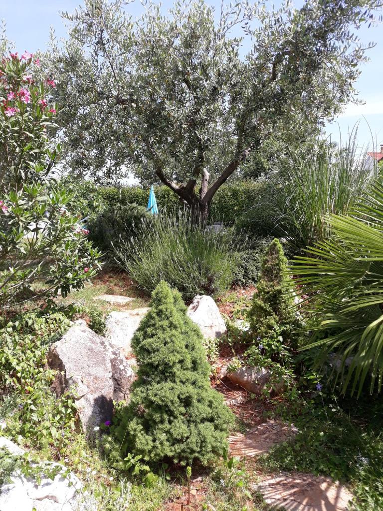 Ana Marija Apartments