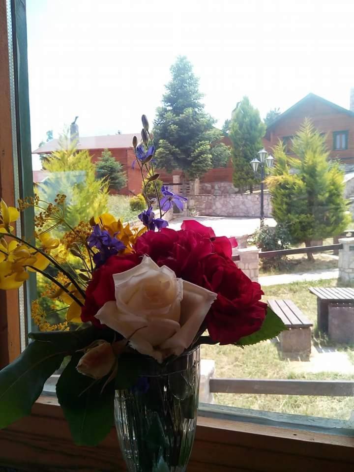 Ermis Katafigio photo 2