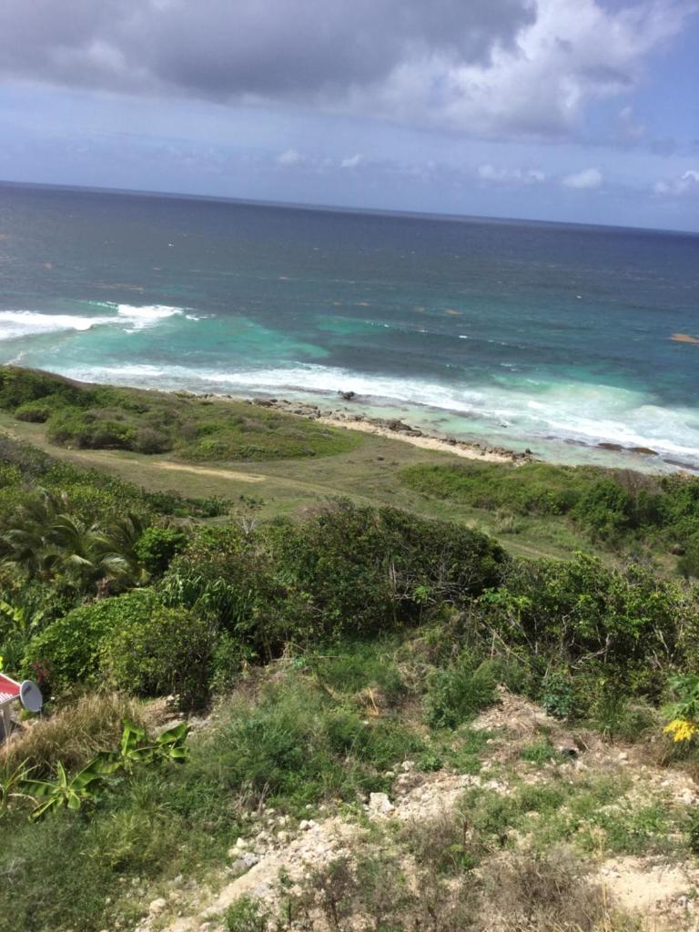 La Marine photo 1