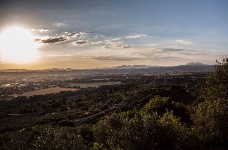 Il Poggio Delle Ginestre photo 4
