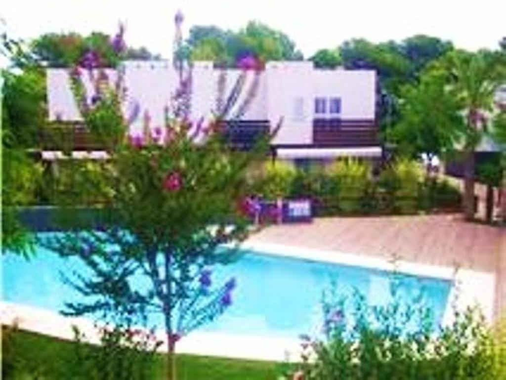 House Beach Las Palmeiras photo 3