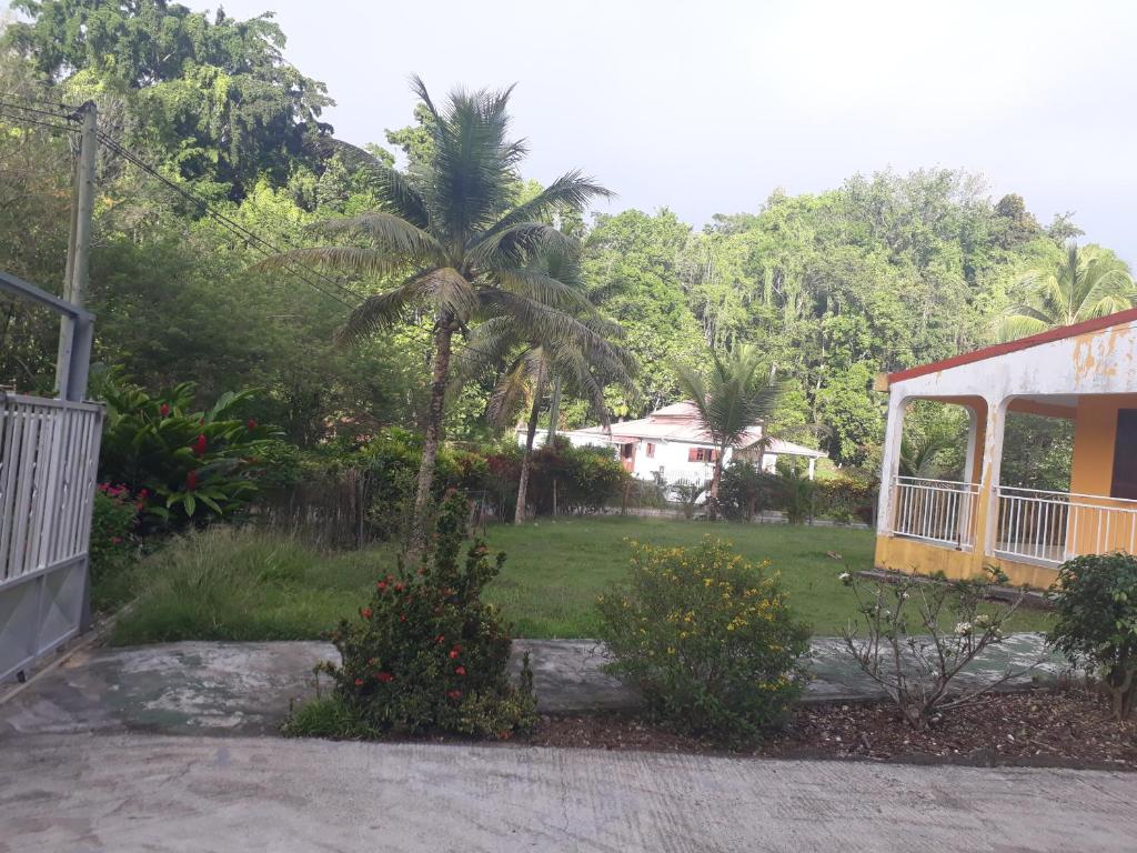 La Belle Creole photo 4