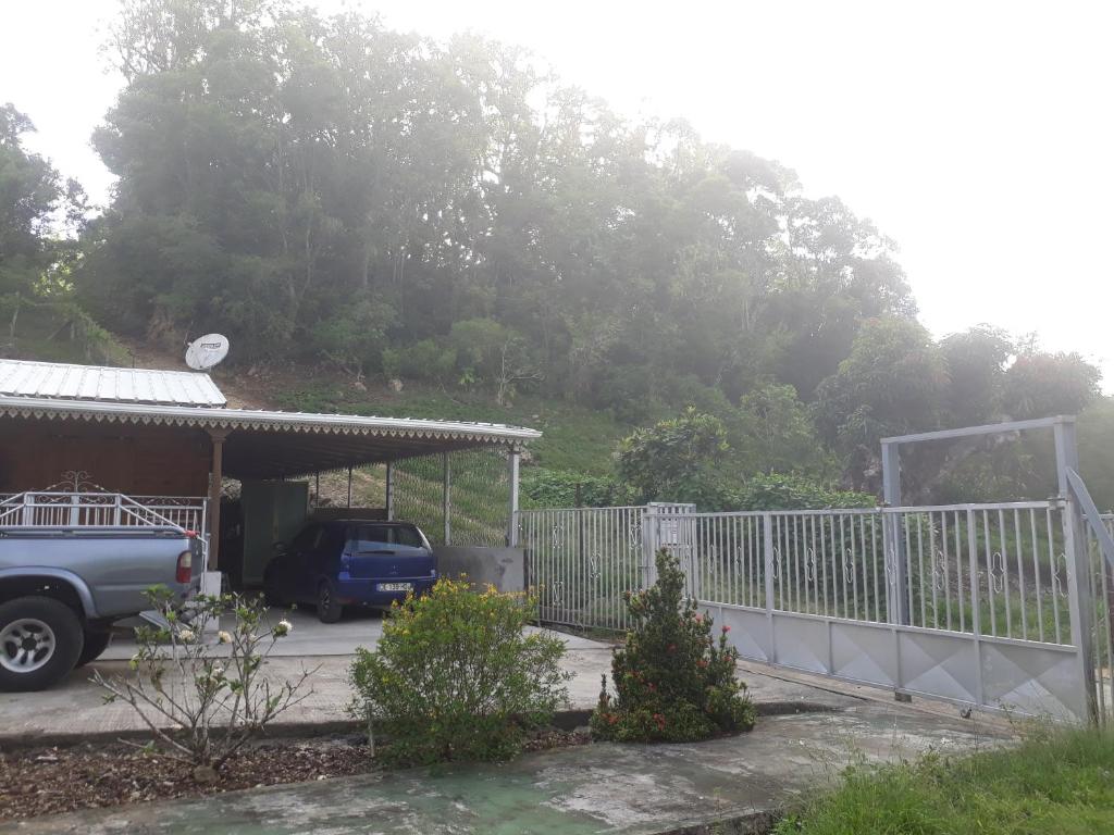 La Belle Creole photo 3
