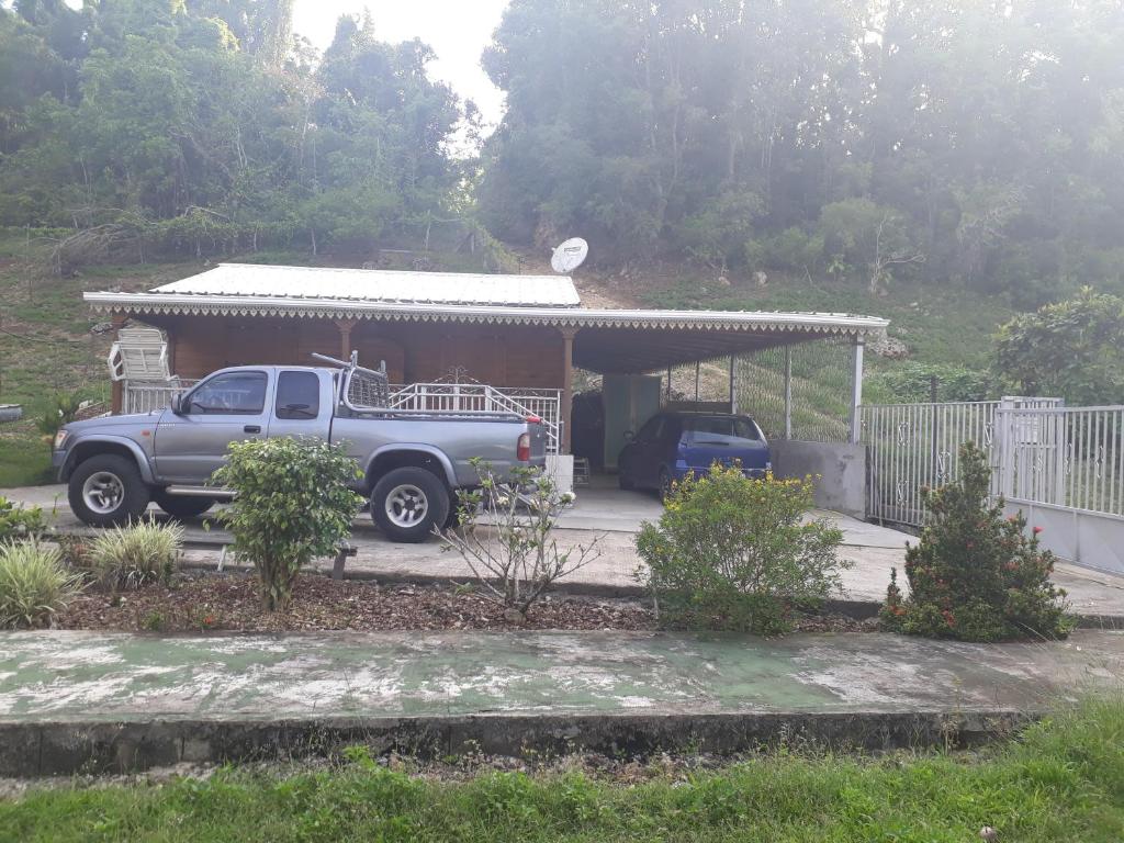 La Belle Creole photo 2